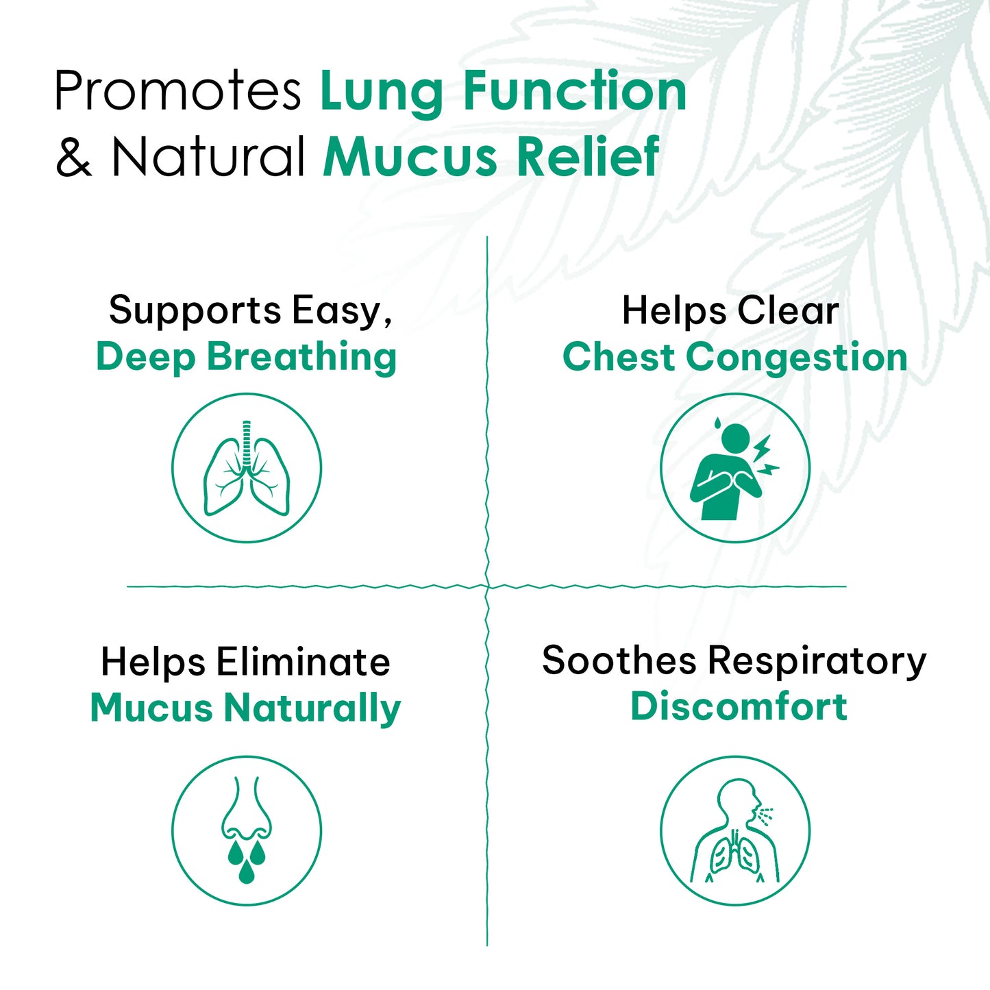 Lung Detox Tea (30 days)