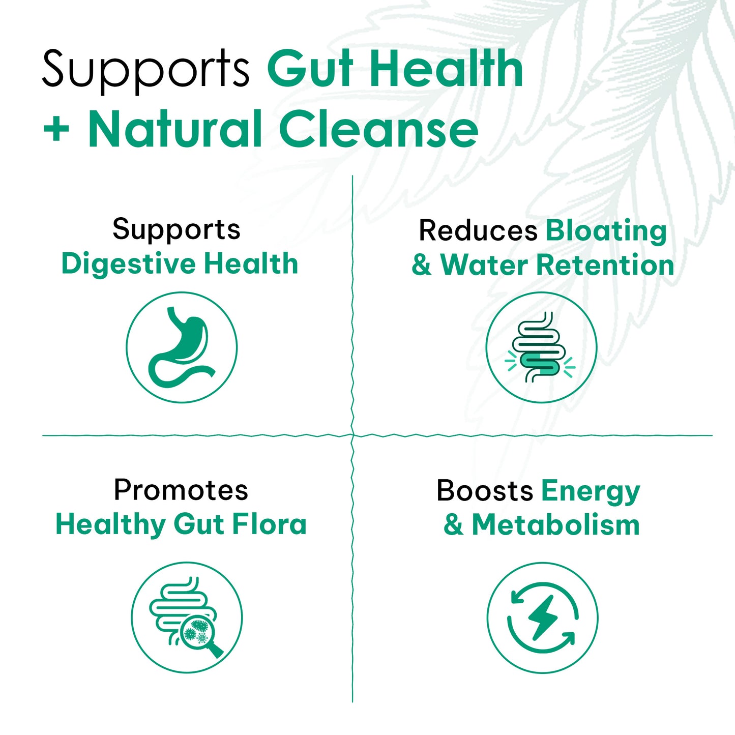 Gut Balance Herbal Tea | 30GM