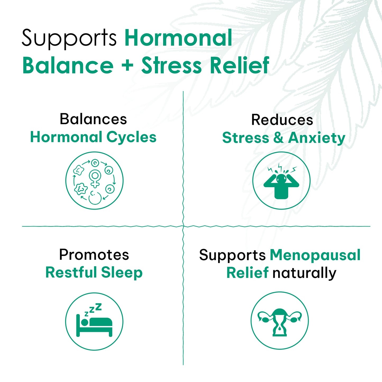 Hormonal Balance Tea