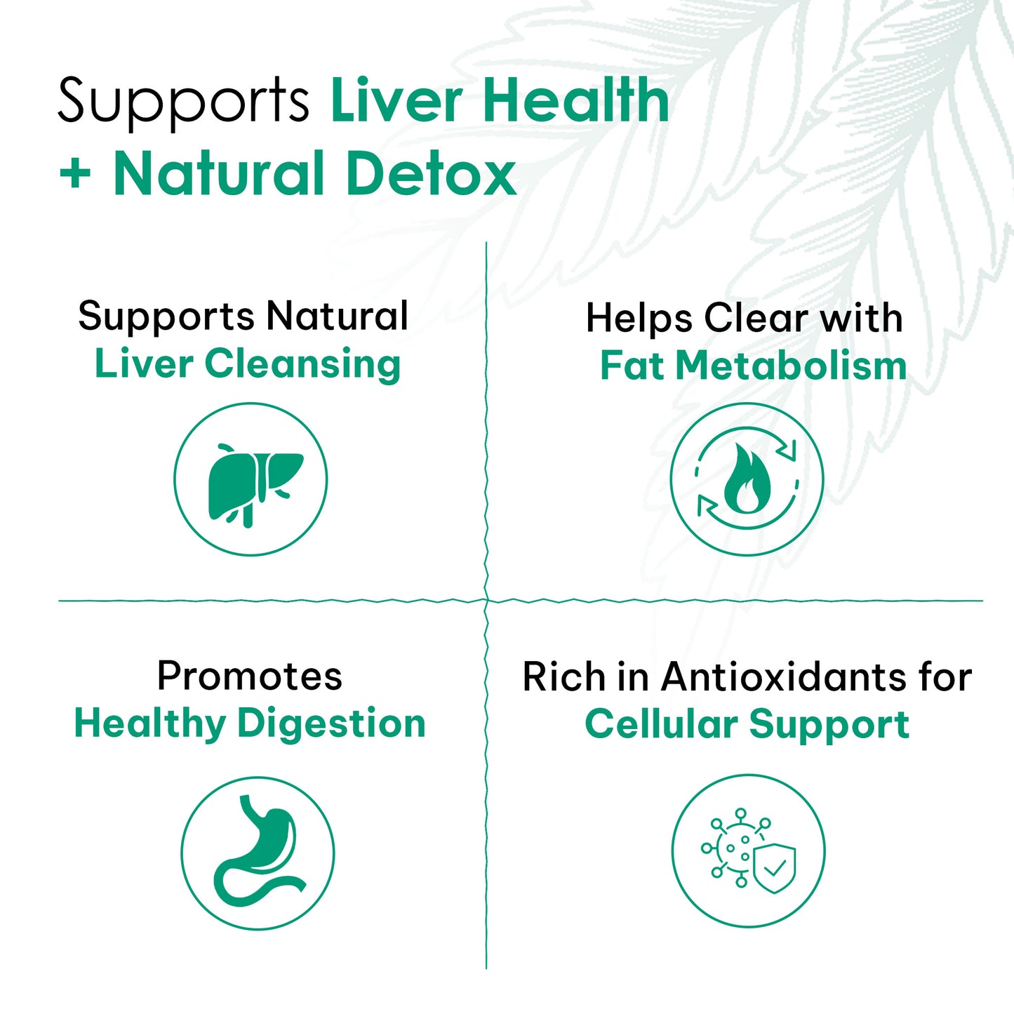 Liver Detox Tea | 30Days