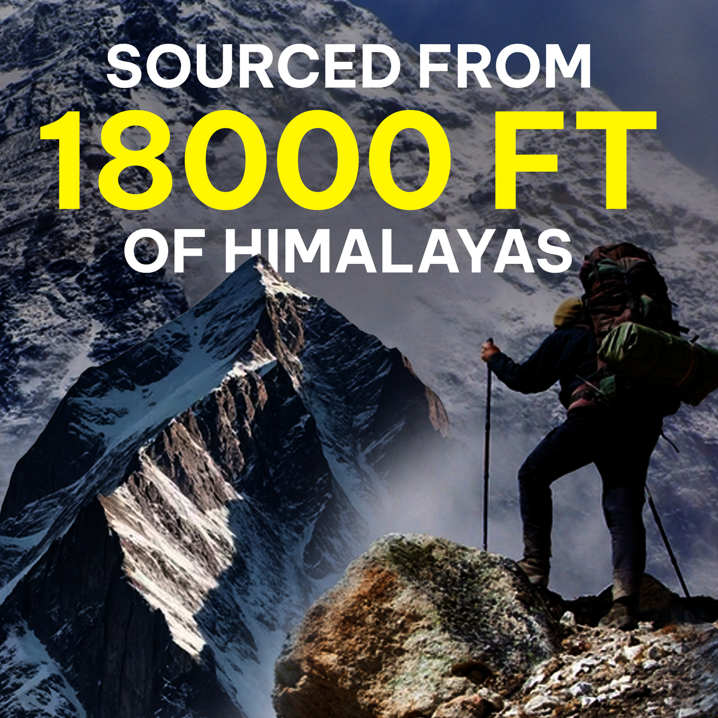 Pure Himalayan Shilajit – Boost Energy, Strength & Immunity Naturally