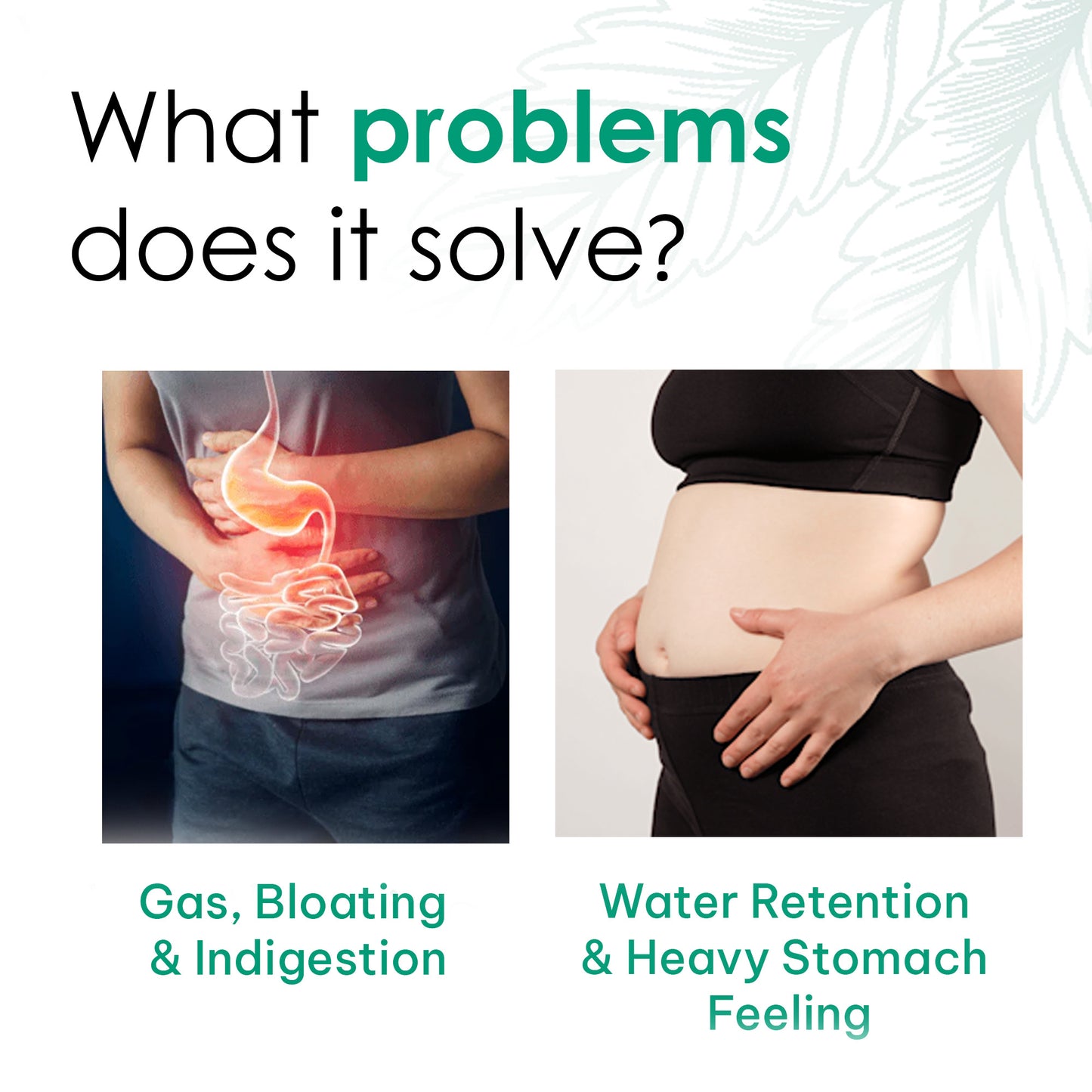 Gut Balance Herbal Tea | 30GM