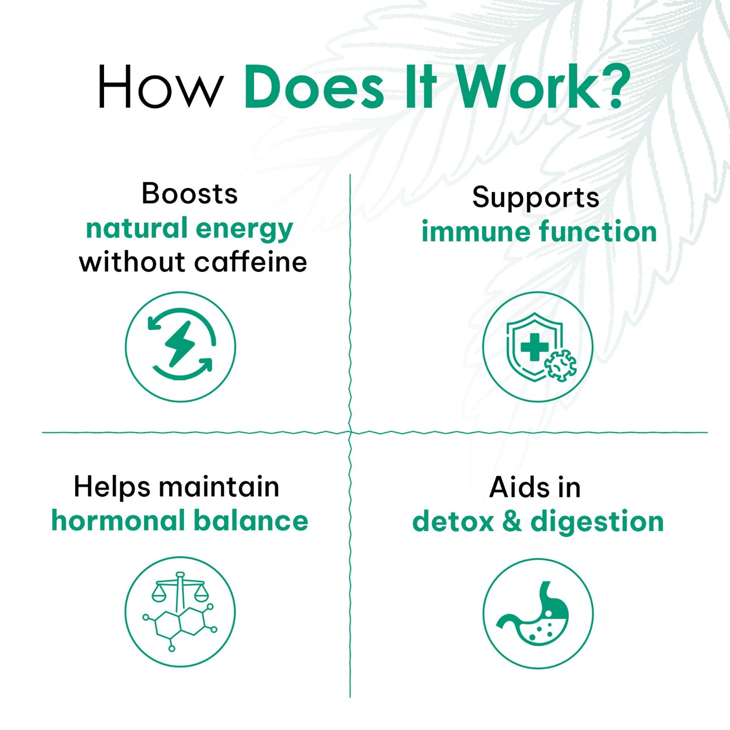 Moringa Powder | 100 Gm